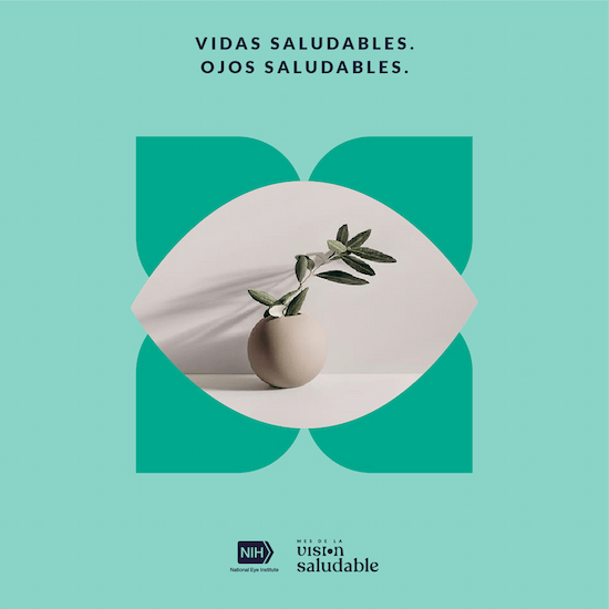 Square social media ad preview showing a bowl of yogurt and fruit