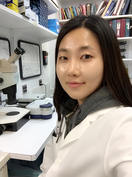 Jin Kyeong Choi