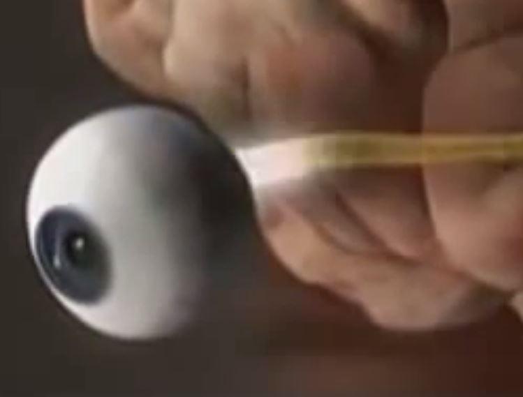 Eyeball with optic nerve going back into the brain