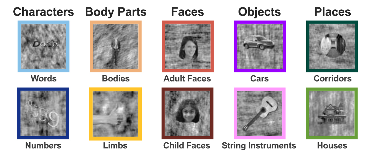 Five columns with two rows of images. Column 1, row 1 is the text “words. Column 1, row 2 are printed numbers. Column 2, row 1 is a body with no head. Column 2, row 2 is a hand. Column 3, row 1 is a woman’s face. Column 3, row 2 is a child’s face. Column 4, row 1 is a car. Column 4, row 2 is a guitar. Column 5, row 1 is a hallway. Column 5, row 2 is a house. 