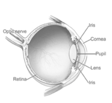 small eye diagram