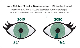 Each eye represents a total of 80 million people, the estimated number of Americans who will be 65 and older in 2050, the population most affected by common eye diseases.