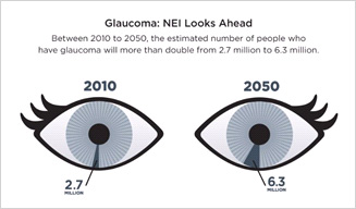 Each eye represents a total of 80 million people, the estimated number of Americans who will be 65 and older in 2050, the population most affected by common eye diseases.