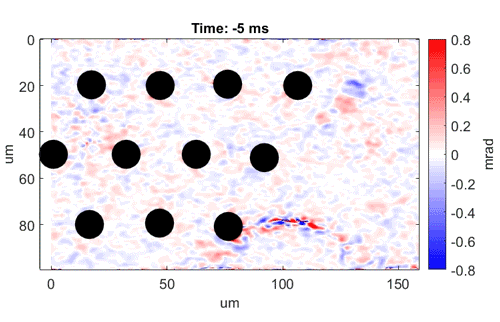Animated movie of cells firing as recorded by interferometric imaging