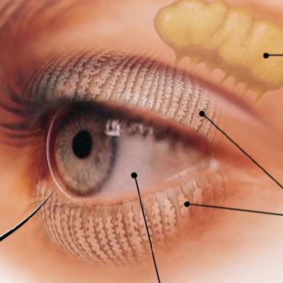 closeup of an eye