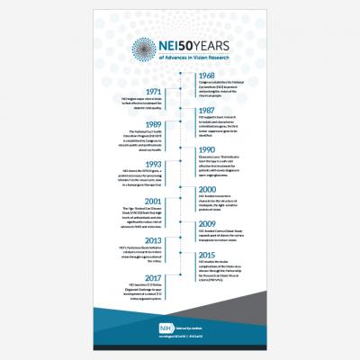 A thumbnail showing a timeline of historical events at NEI.