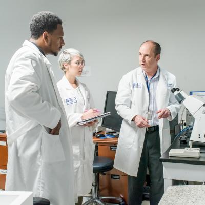 Three scientists consults about a vision research project.
