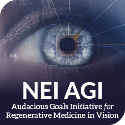 NEI Audacious Goals Initiative for regenerative medicine in vision identity mark