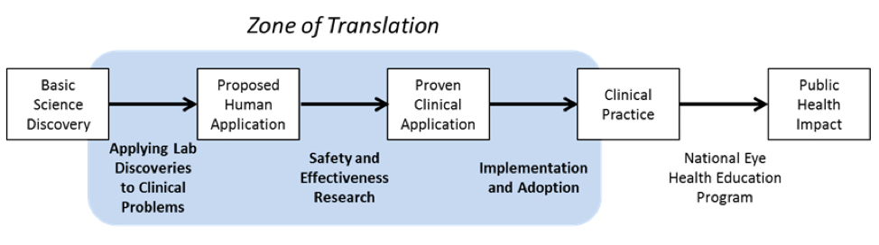 Zone of Translation graphic