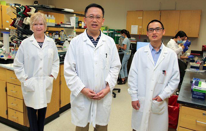 Scientists in lab coats in a laboratory