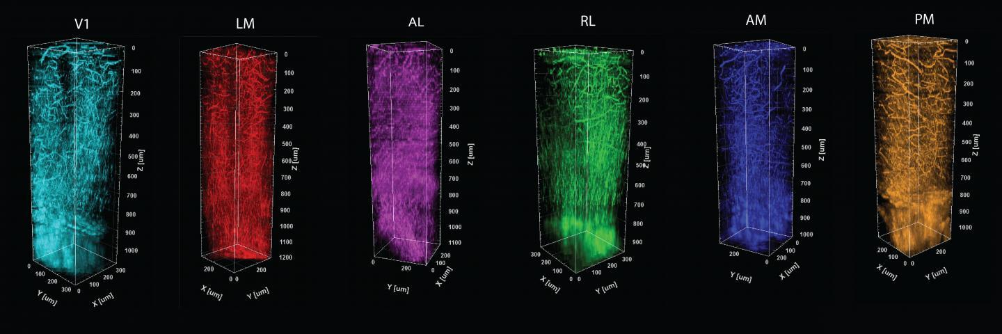 A series of columns with differently colored fibers