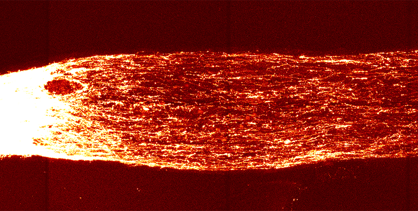 Axon nerve fibers on a red background