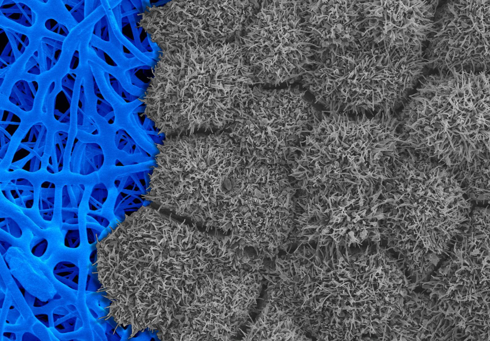 RPE on Fibers
