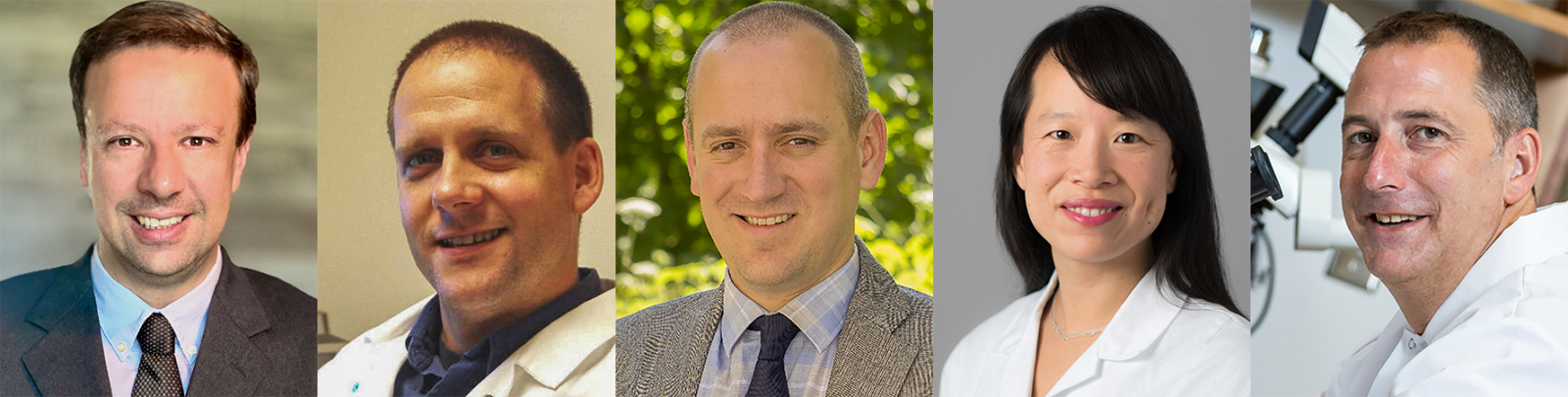 Jason Meyer, Brad Fortune, Benjamin Sivyer, Yvonne Ou, and Gareth Howell.