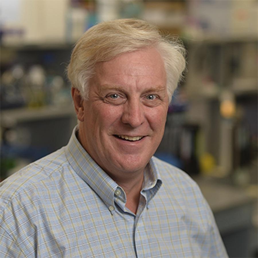 David R. Hyde, Ph.D.