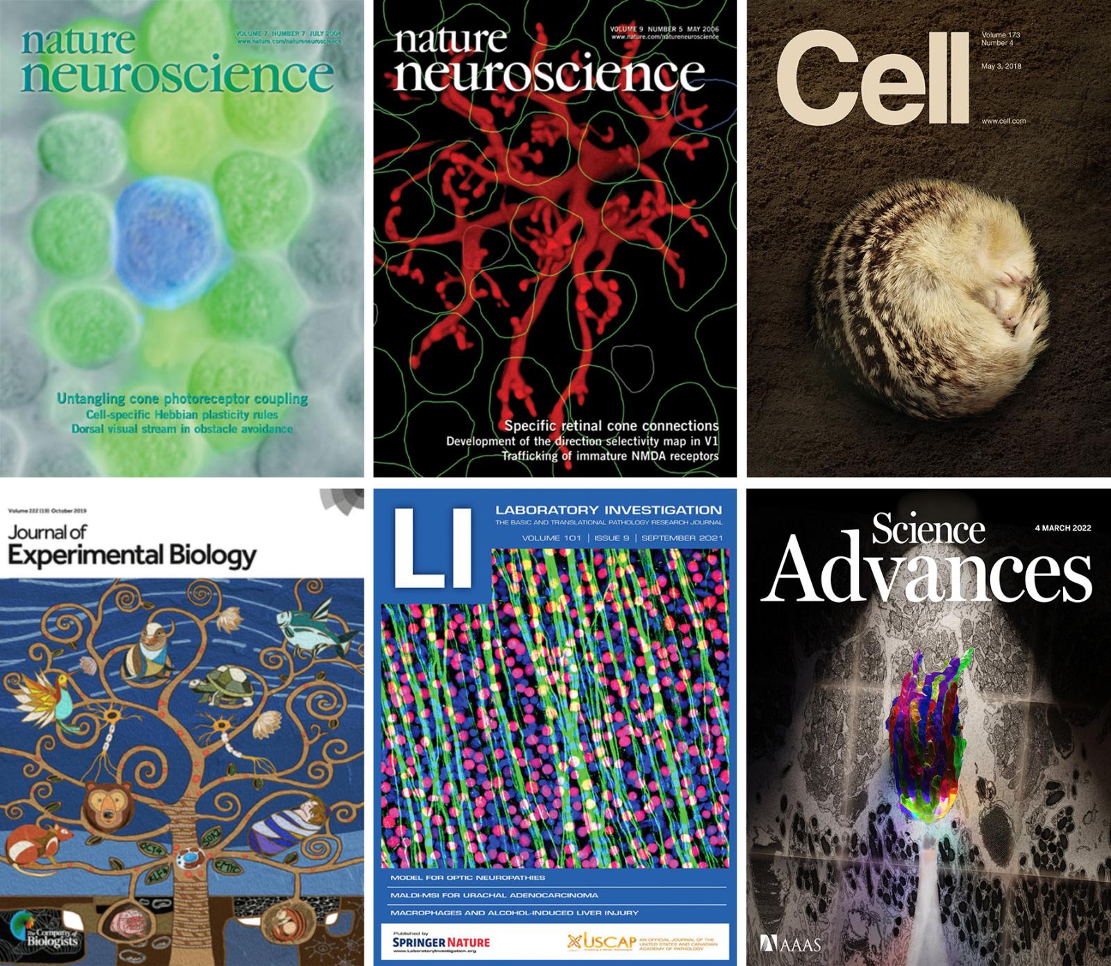 journal covers