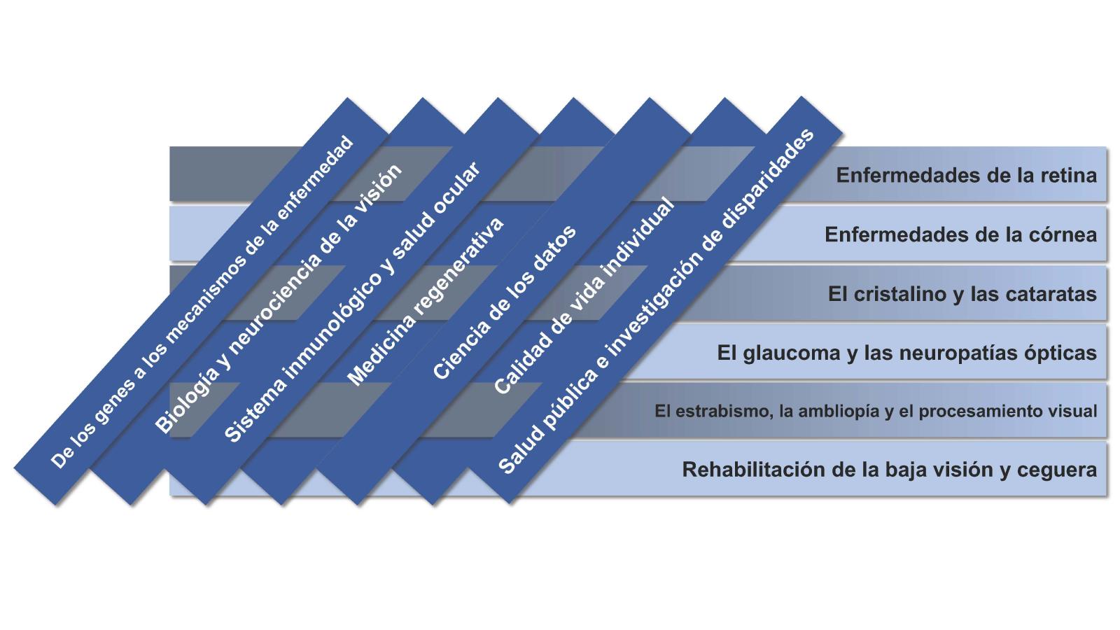 Las 7 áreas transversales de este plan son: De los genes a los mecanismos de la enfermedad Biología y neurociencia de la vision Sistema inmunológicoy salud ocular Medicina regenerativa Ciencia de los datos Calidad de vida individual Salud pública e investigación de disparidades Estas áreas se cruzan con los programas de NEI: Enfermedades de la retina Enfermedades de la córnea El cristalino y las cataratas El glaucoma y las neuropatías ópticas El estrabismo, la ambliopía y el procesamiento.