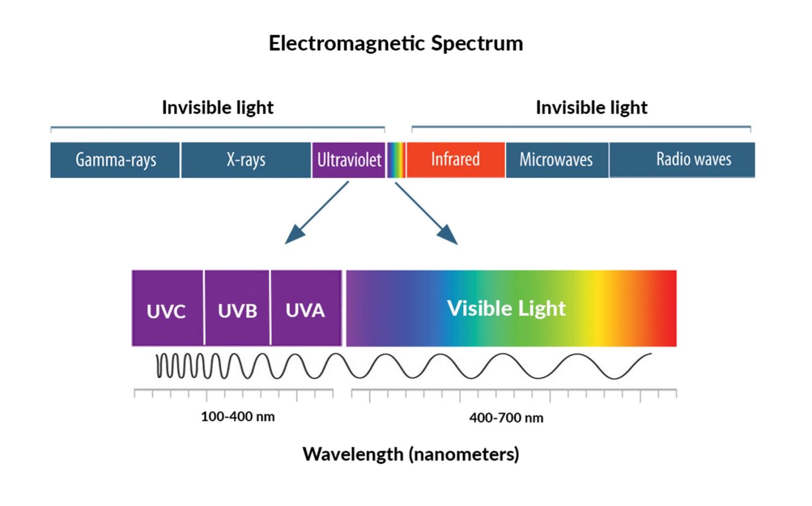 Illustration of the electromagnetic spectrum from invisible to visible light