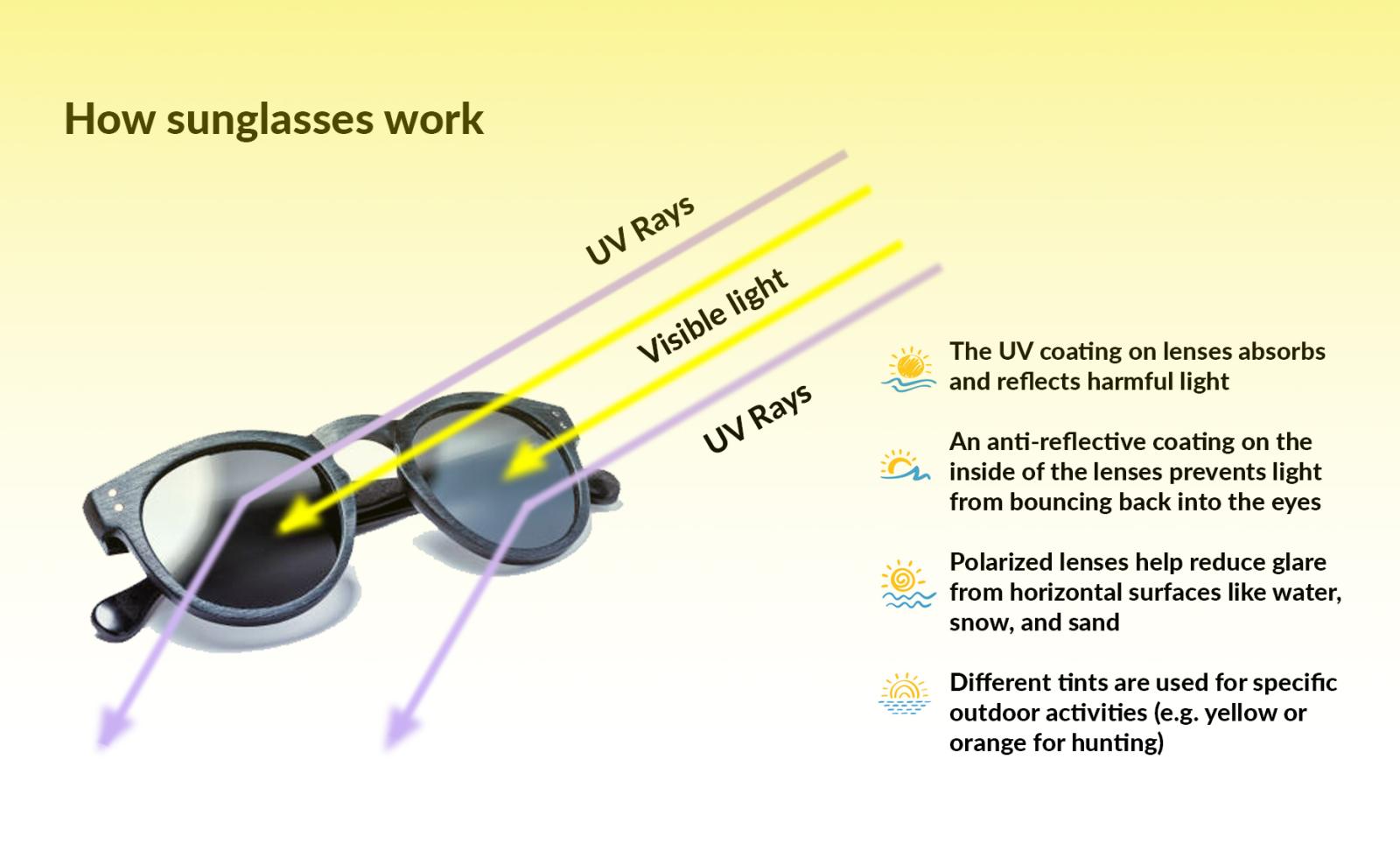Illustration of sunglasses and explanation of how they work