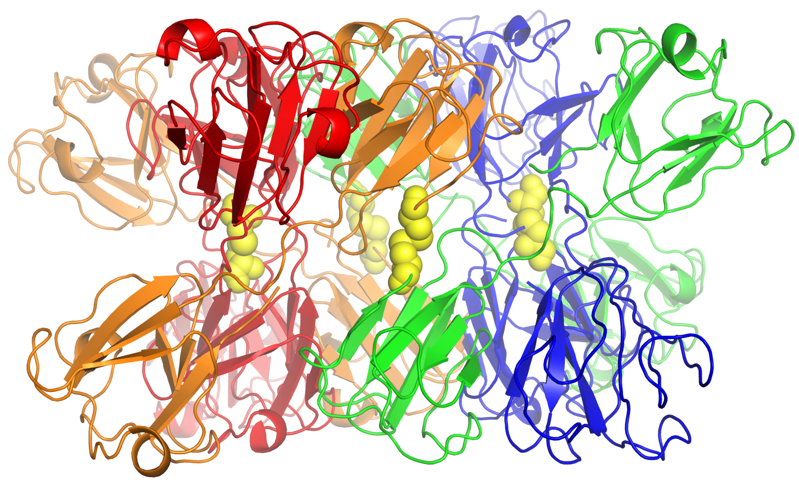 Octamer from the Structural Biology Lab