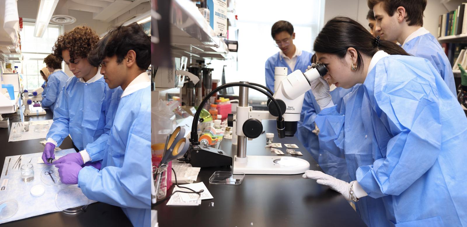 Students participate in lab activity.