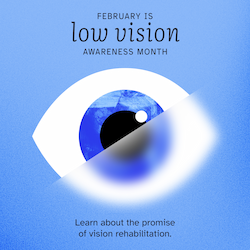 February is low vision awareness month