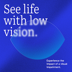 See life with low vision