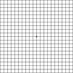 Amsler Grid