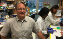 Man in glasses looks at the camera