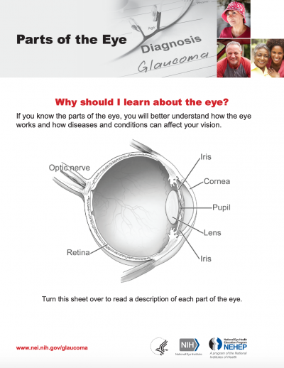 Parts of the Eye