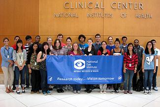 2013 Summer Interns 