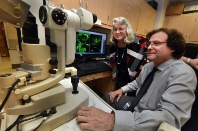 Scientists in the laboratory