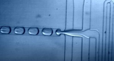 Liquid drop moving through microfluidics device