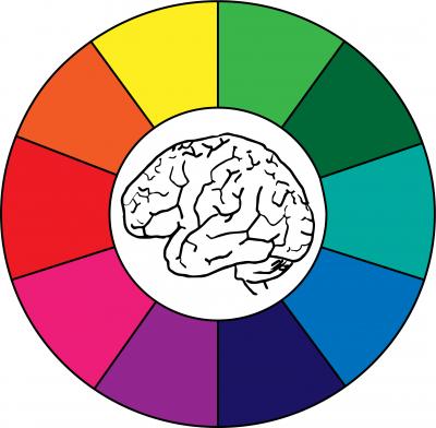 Drawing of brain inside a color wheel