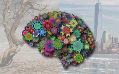 A colorful, artistic rendering of a brain over an image of a beach and a city
