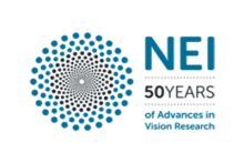 NEI50 Years Graphic