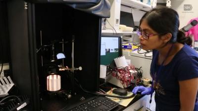 researcher in lab
