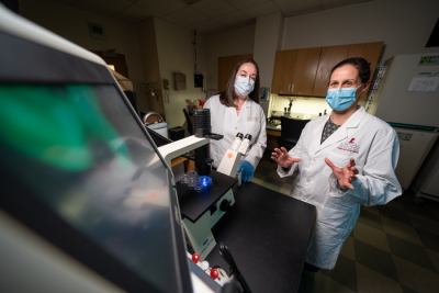 Scientists in the laboratory