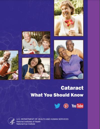 A thumbnail showing the first page of the NEI Cataracts Sheet.