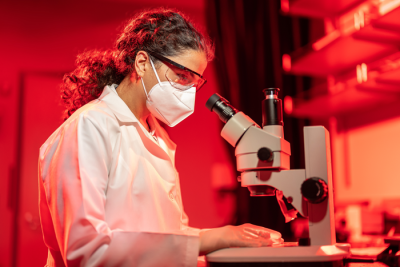 Scientist working at microscope.
