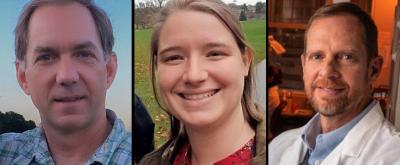 Timothy Gomez, Sarah Rempel, and David Gamm