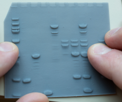A 3D readout of a protein gel.