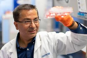 Kapil with media wells