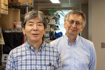 Naoki Nakaya and Stanislav Tomarev in the laboratory.