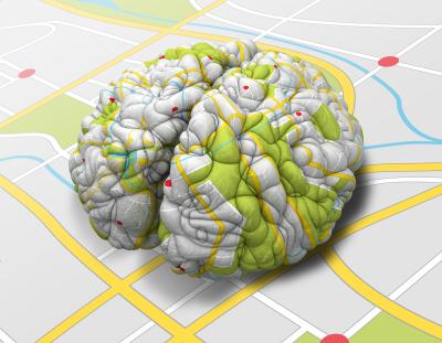 Illustration shows a roadway map superimposed on a brain