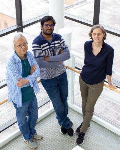 Kang, Talluri and Nienborg