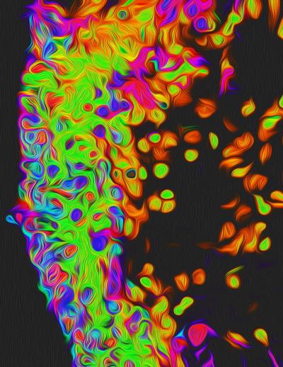 Artistic rendering of a retinal organoid.