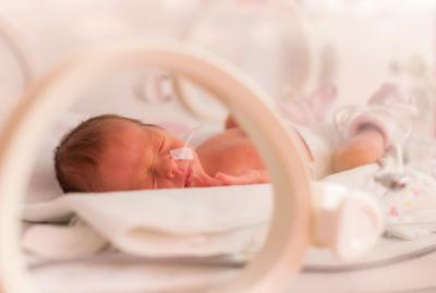 premature infant
