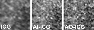 Comparison of retina cells