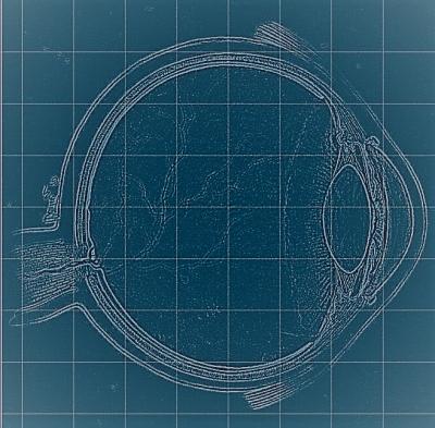 blueprint eye